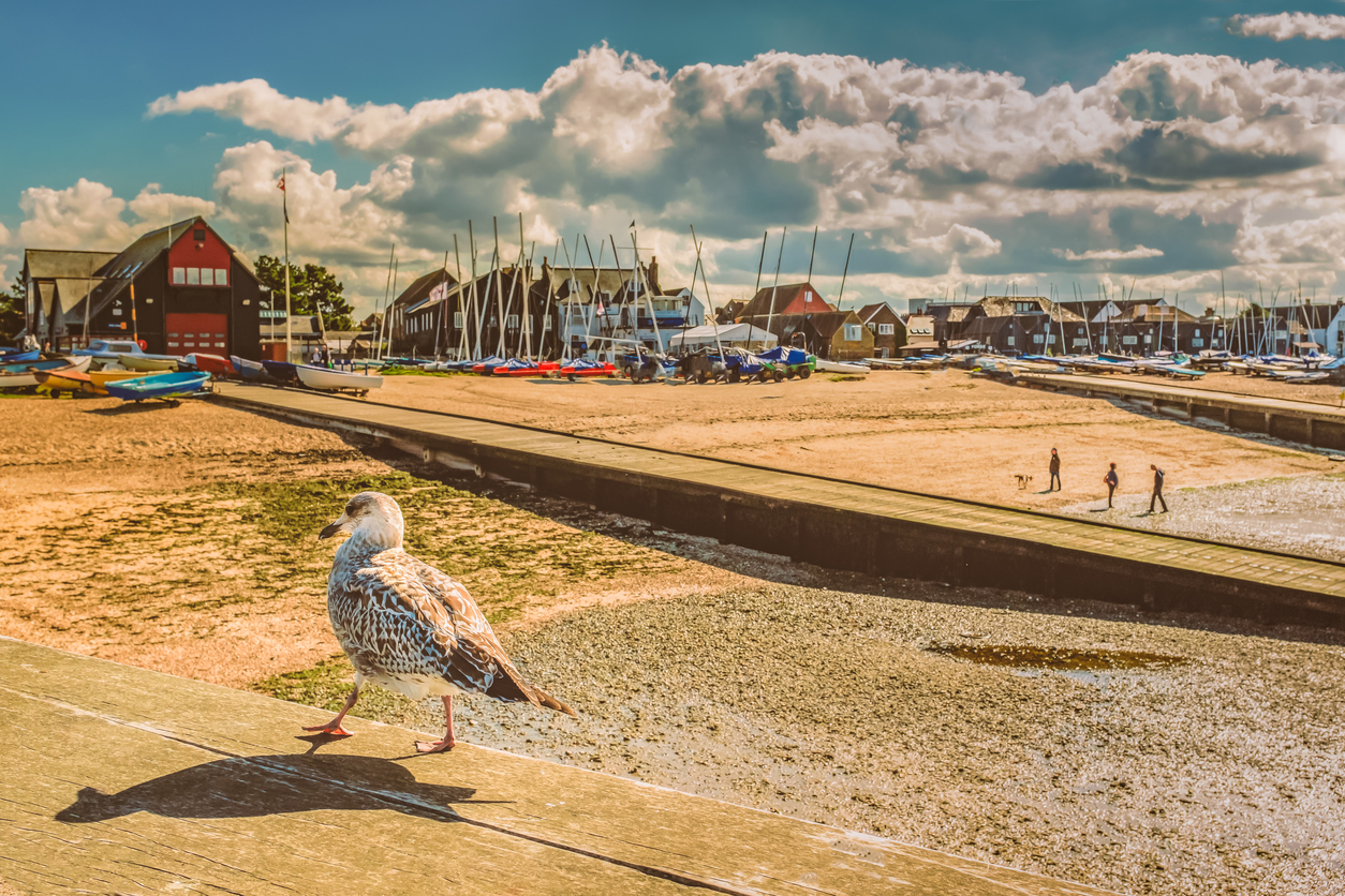 Explore the Kent Coast