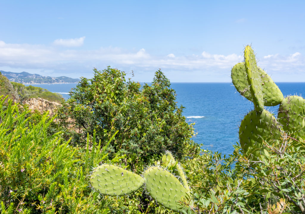 Costa Brava seascape