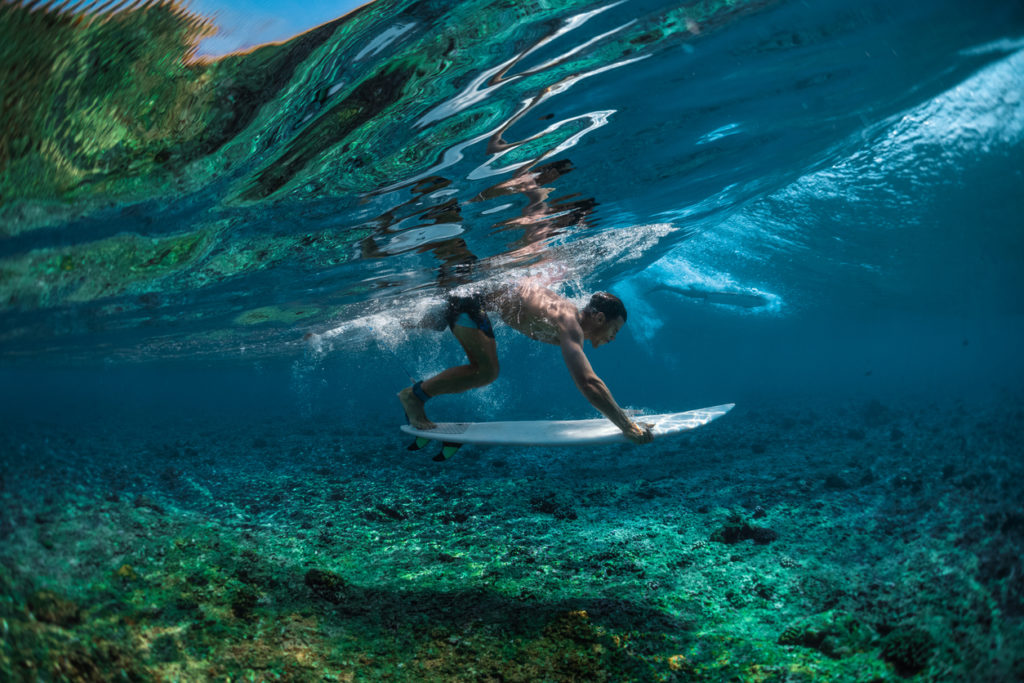 Duck Diving In the Maldives