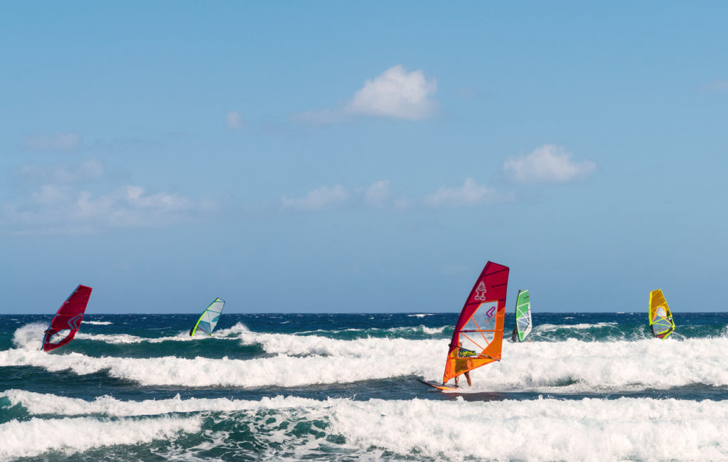 Windsurfers in Tenerife