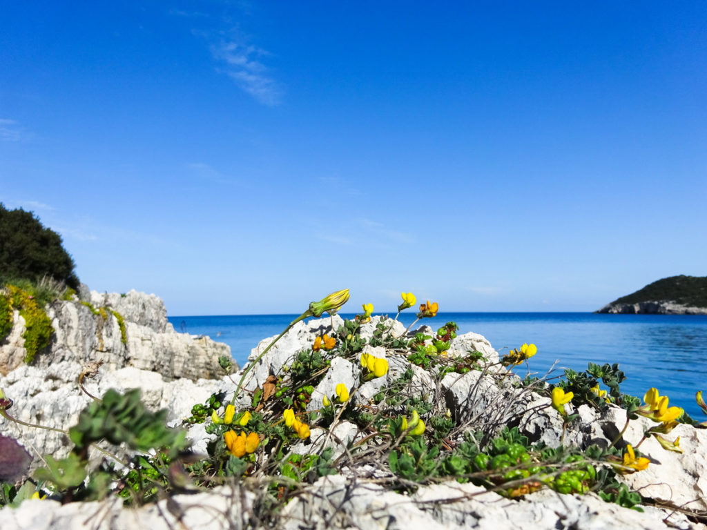 Zakynthos island