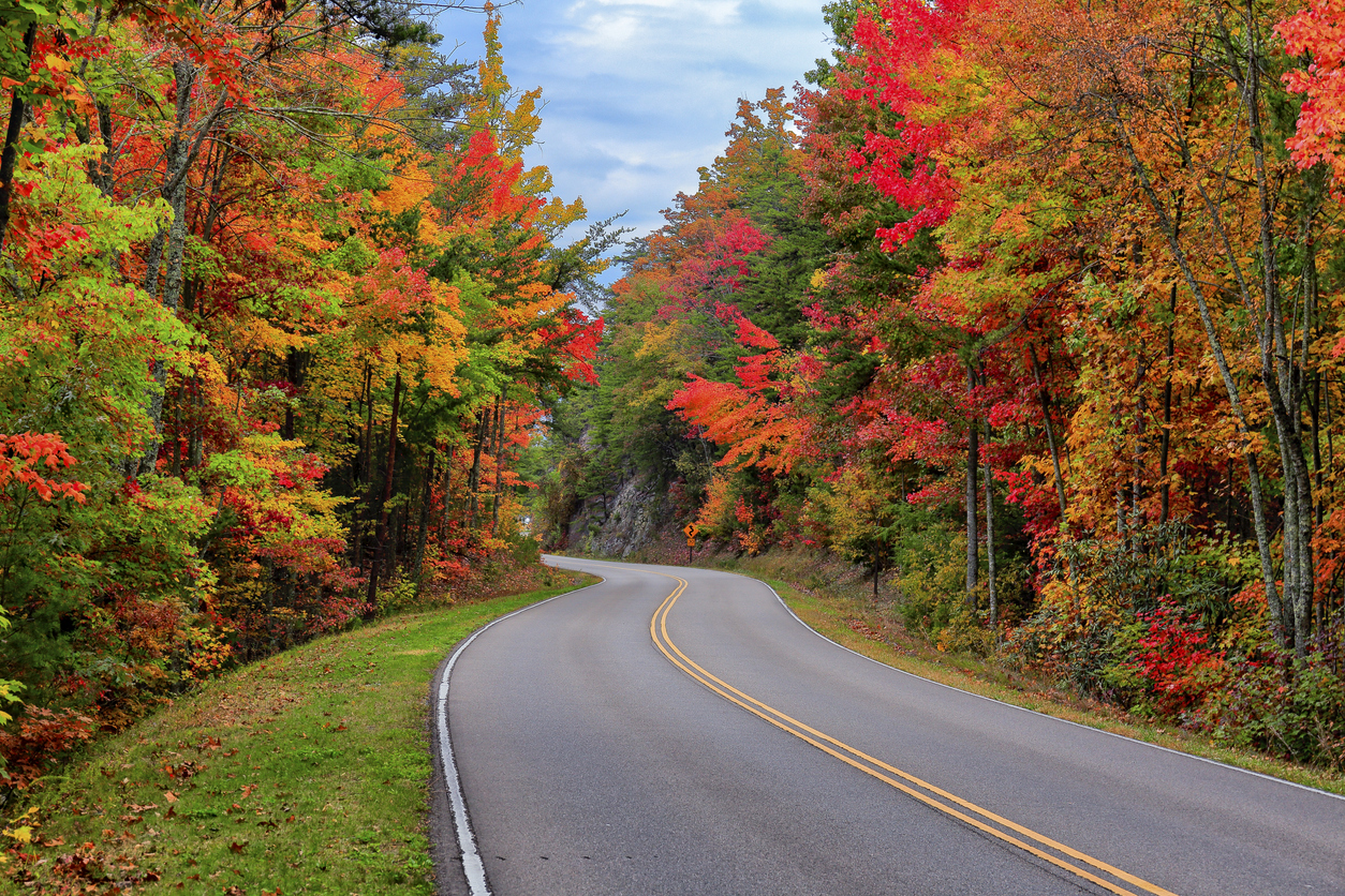 Fall in Tennessee