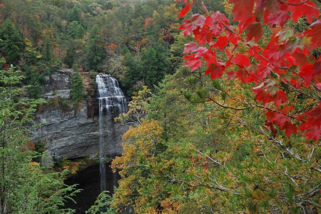 Falls Creek State Park