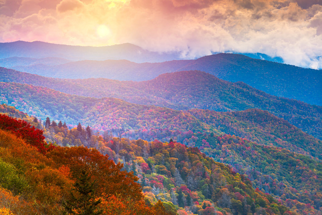 Newfound Gap Road in the Great Smoky Mountains