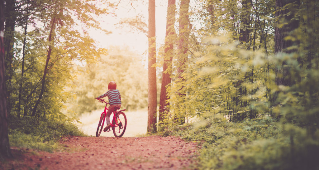 Cycling in Estonia