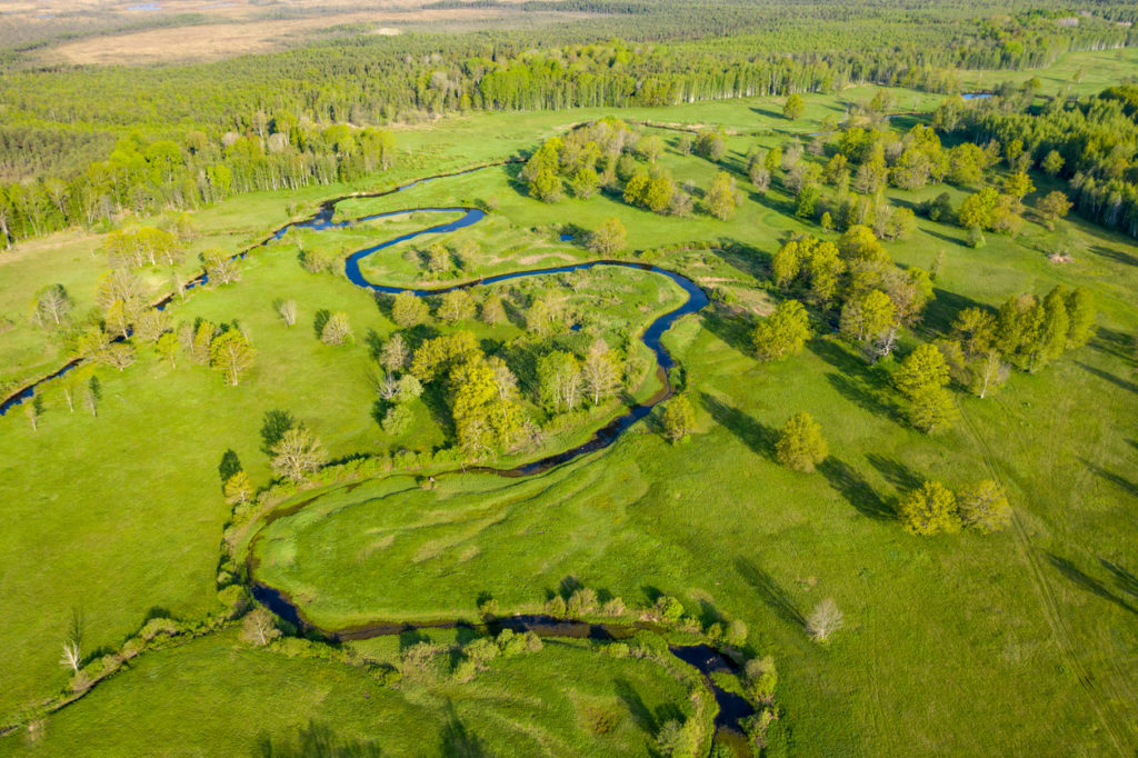 Soomaa wooded meadow, Estonia