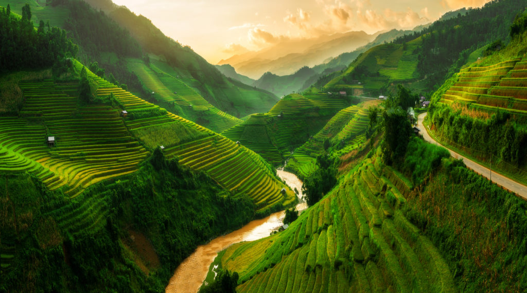 Terraced rice field in Mu Cang Chai