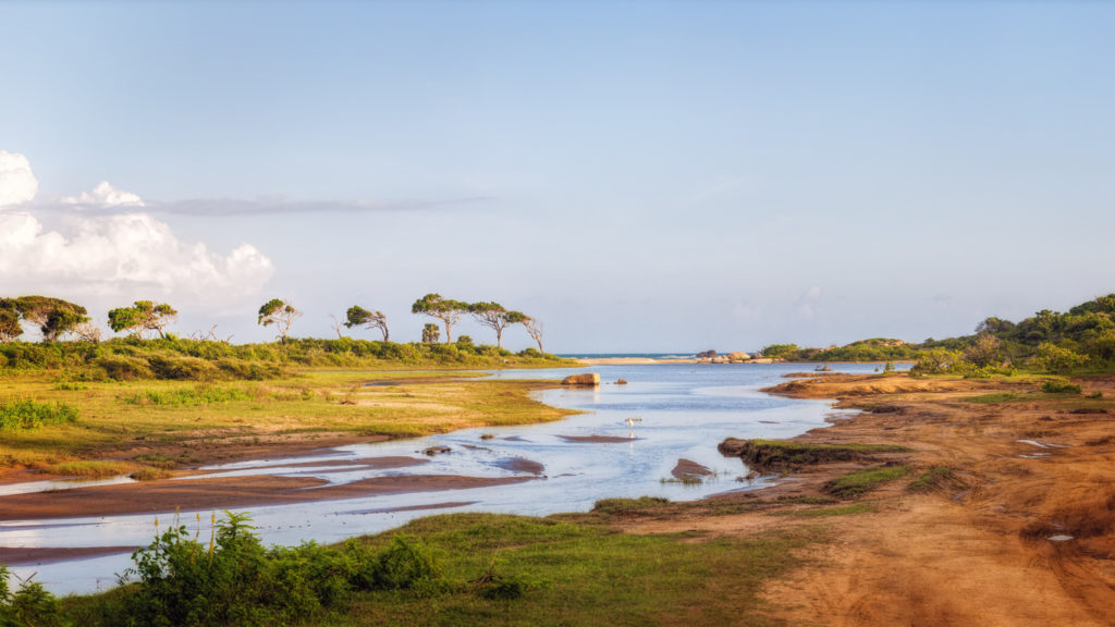 Yala National Park