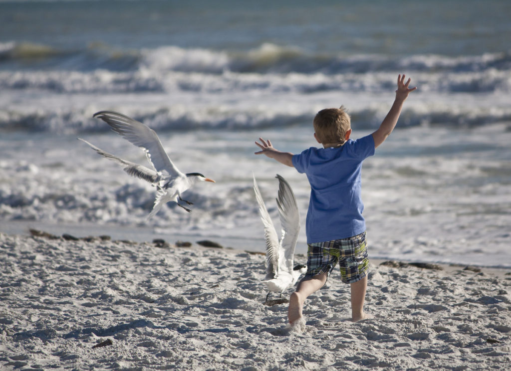 Fun on the beach in Marco Island