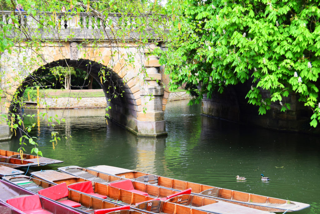 Oxford Punts Under Magdalen Bridge