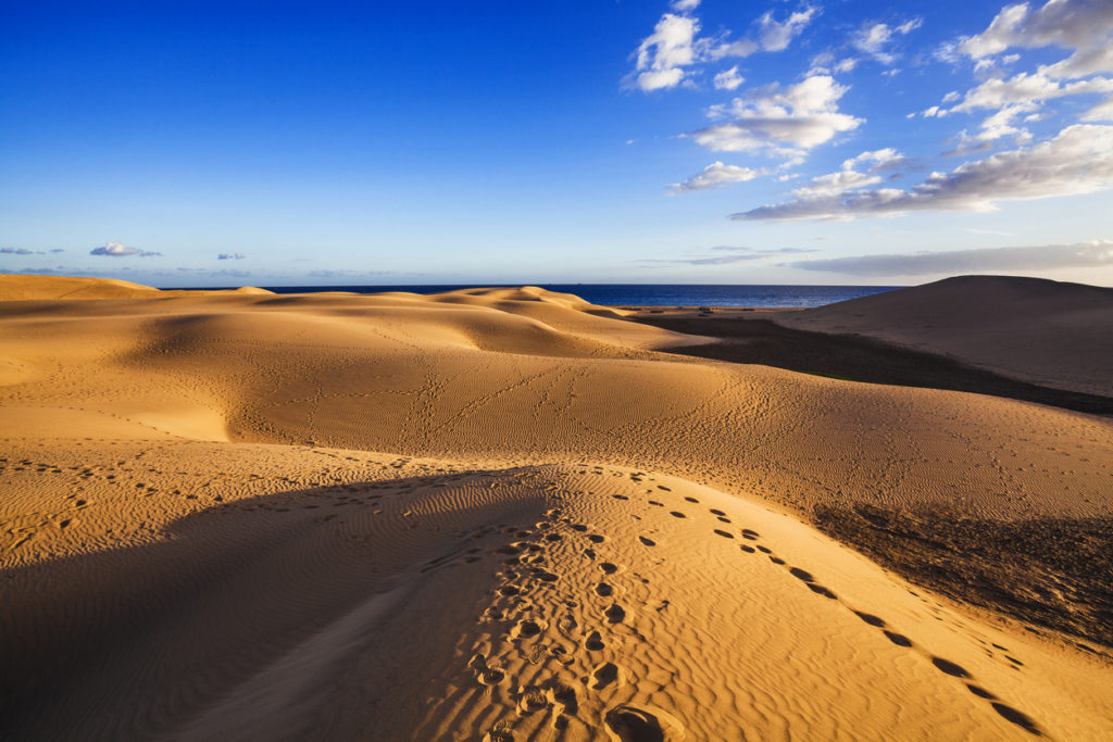 The Golden Sands of Maspalomas