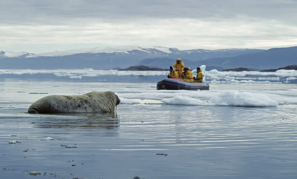 Arctic adventures in Canada