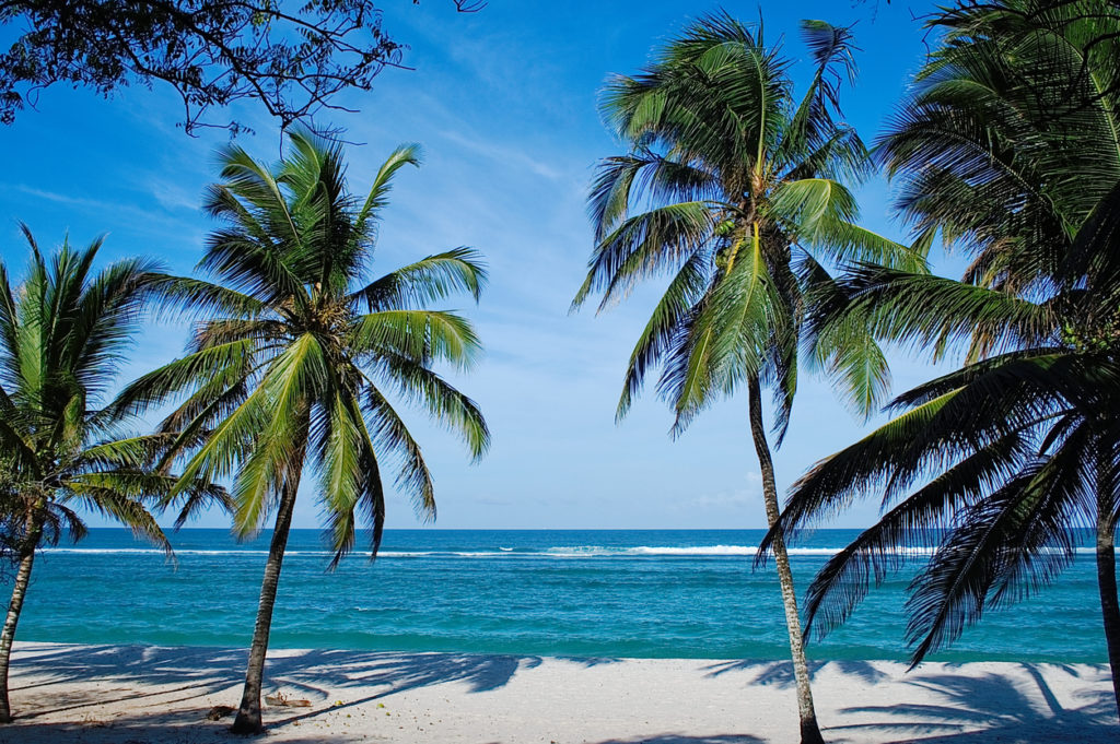 Kenyan Coast