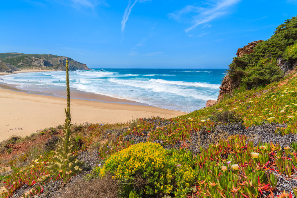 Praia do Amado Surf beach