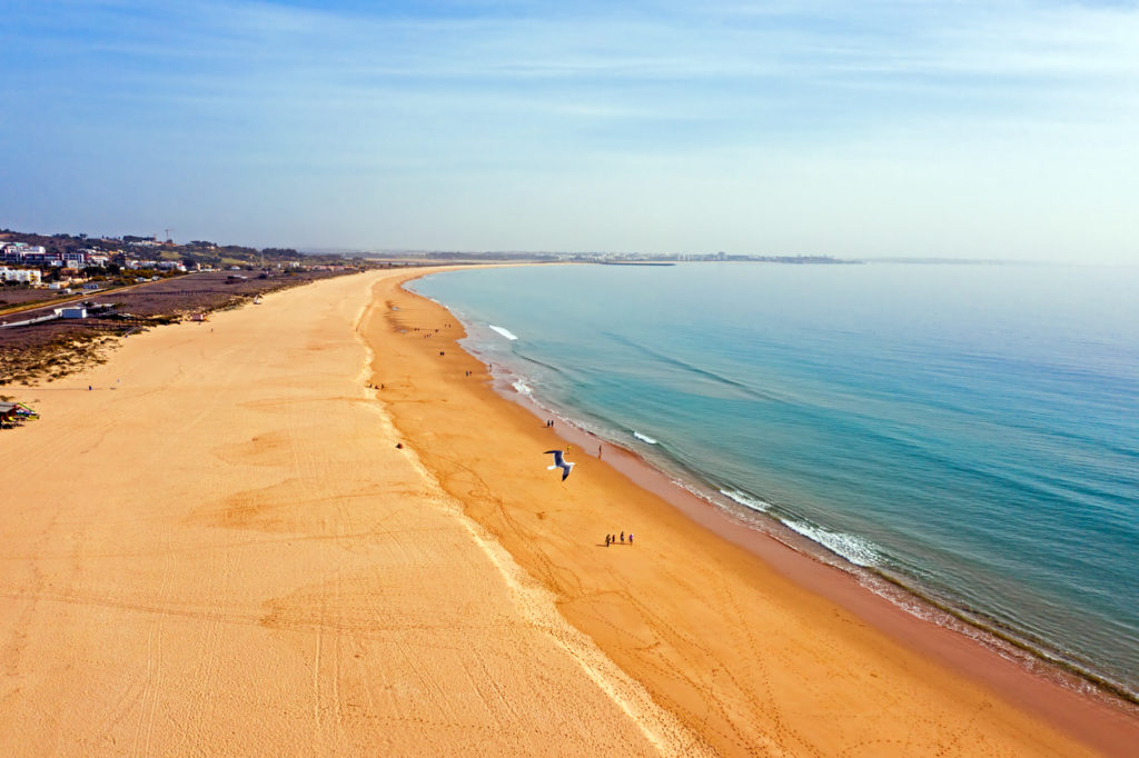 Surfing Meia Praia