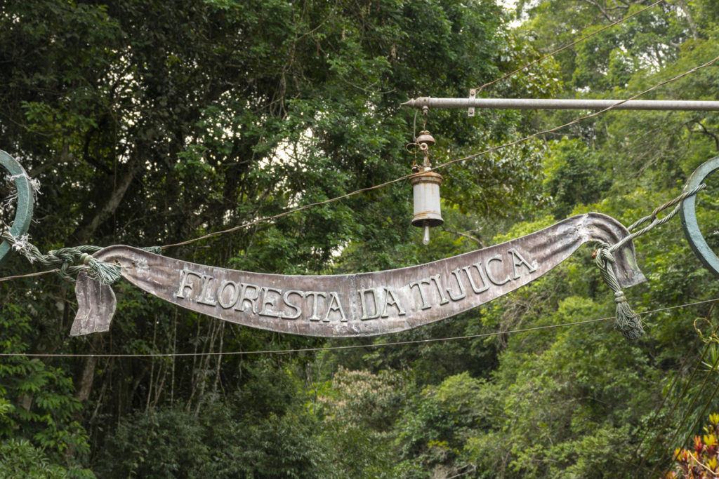 Old historic iron sign over entrance gate to green rainforest park