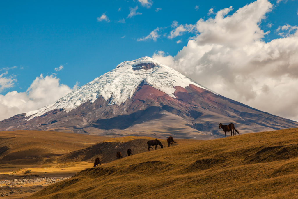 Cotopaxi Volcano at the Cotopaxi National Park, Ecuador.