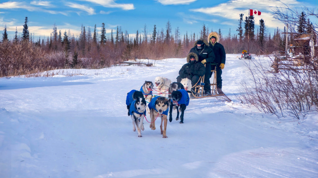 Tourist experiencing a traditional dog sled ride in Churchill, Manitoba.