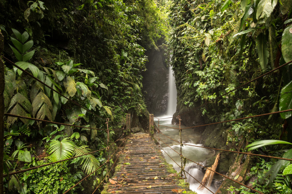 Waterfalls in tropical rainforest Mindo, Ecuador