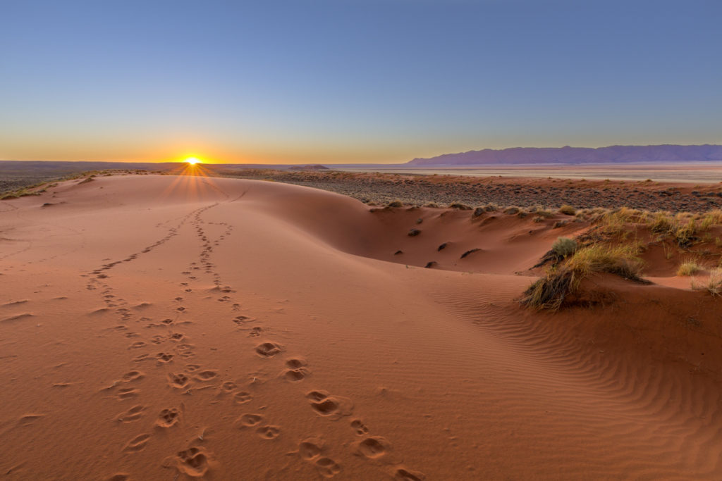 Kalahari Desert at sunset.