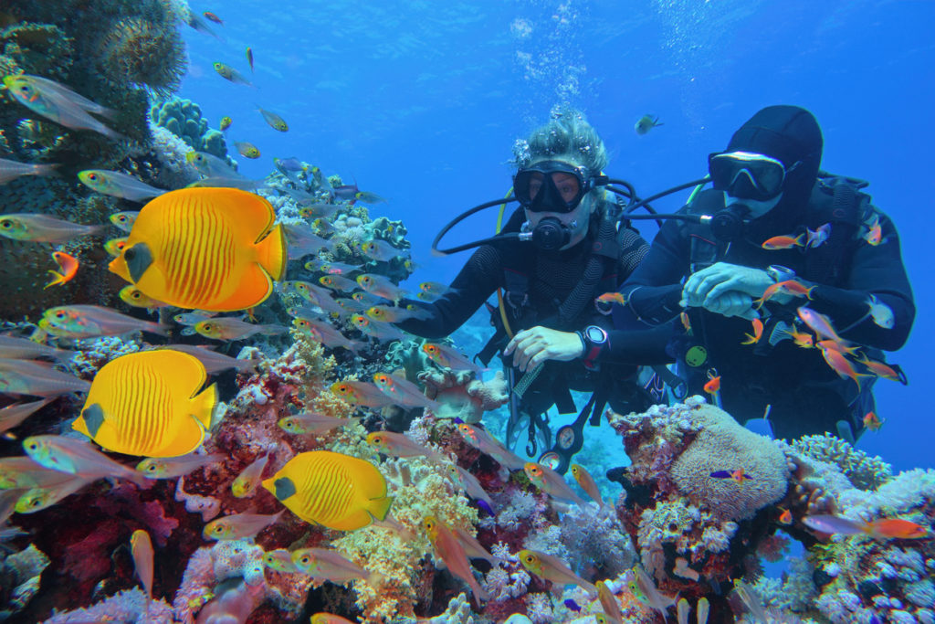 Scuba diving off the Great Barrier Reef, Australia.