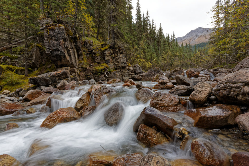 The river close to Miette Hot Springs, Jasper National Park.