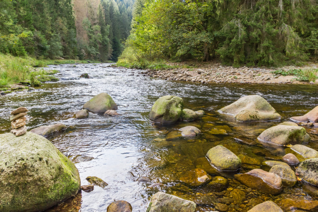 A stream near Srni in the Sumava mountains