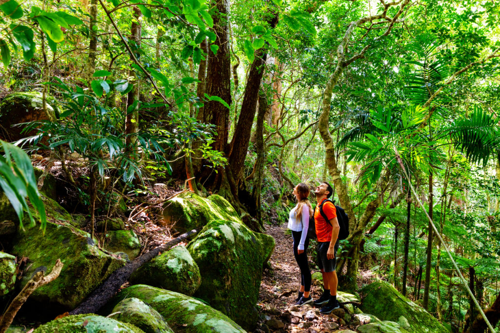 Lamington National Park