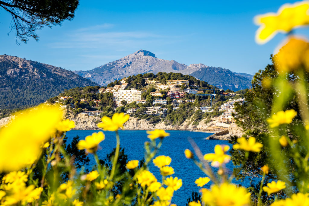 Serra de Tramuntana