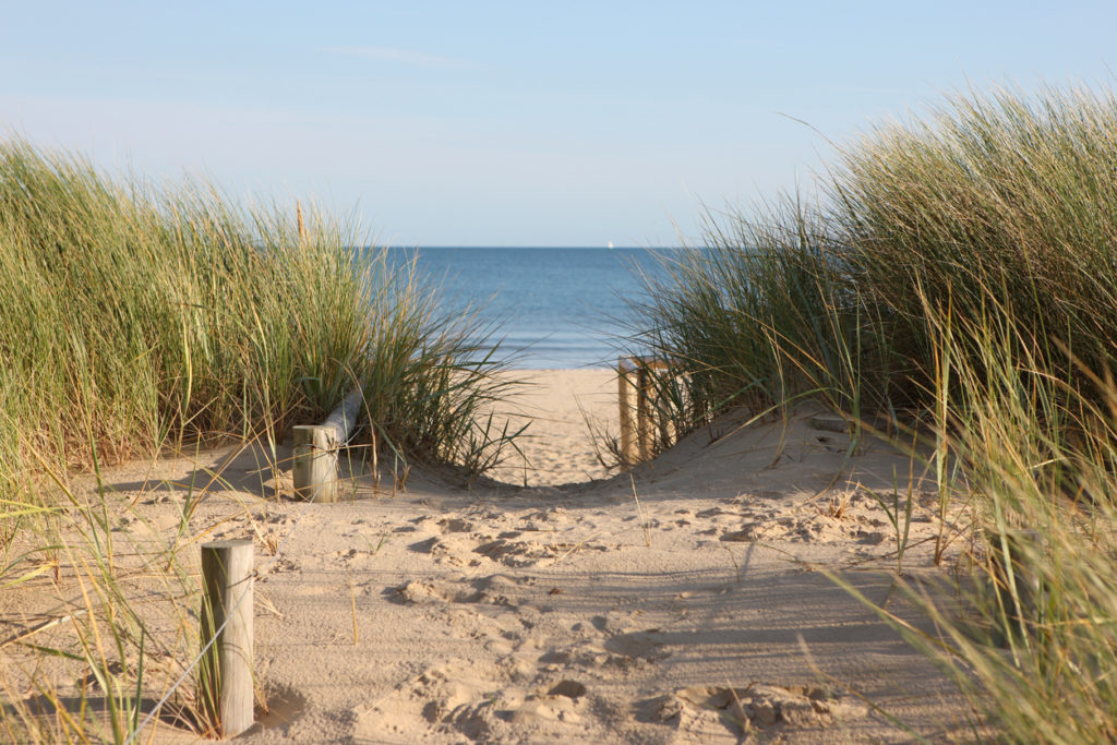 Footpath through to the sand dunes leading to Sandbanks beach, Dorset.