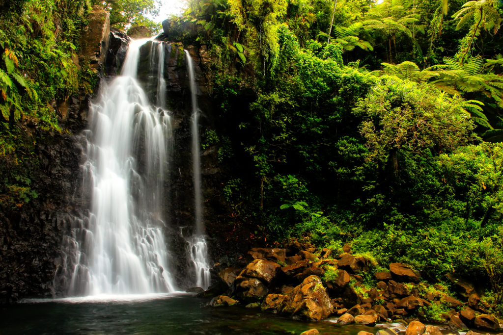 Middle Tavoror Waterfalls in the Bouma National Park, Taveuni Island, Fiji.