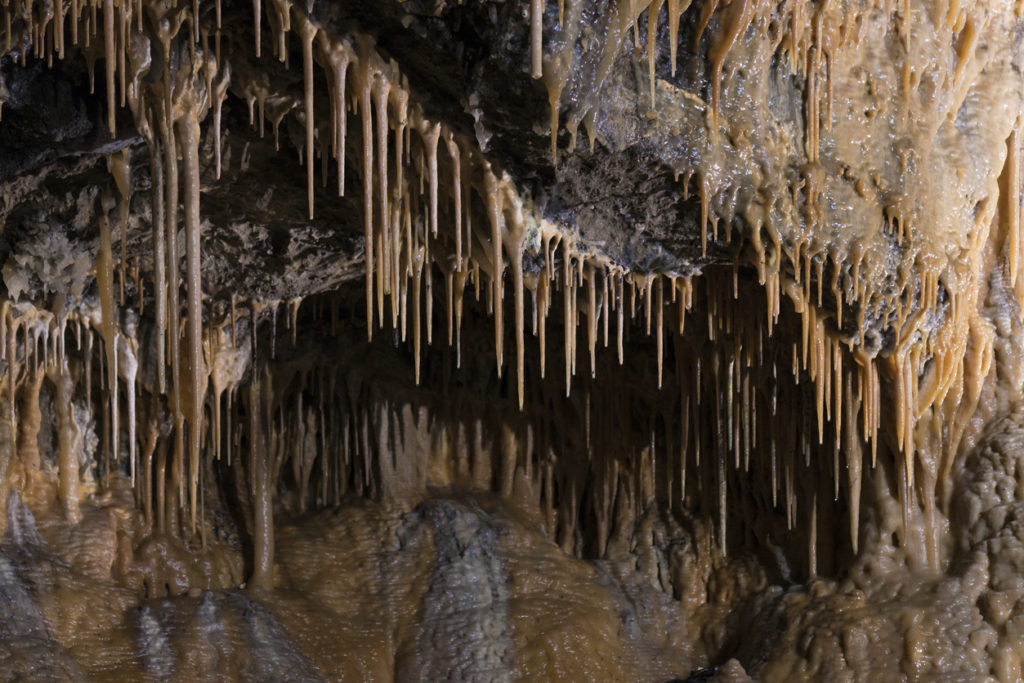 Orange calcite stalactites that have formed in a cave in Derbyshire.