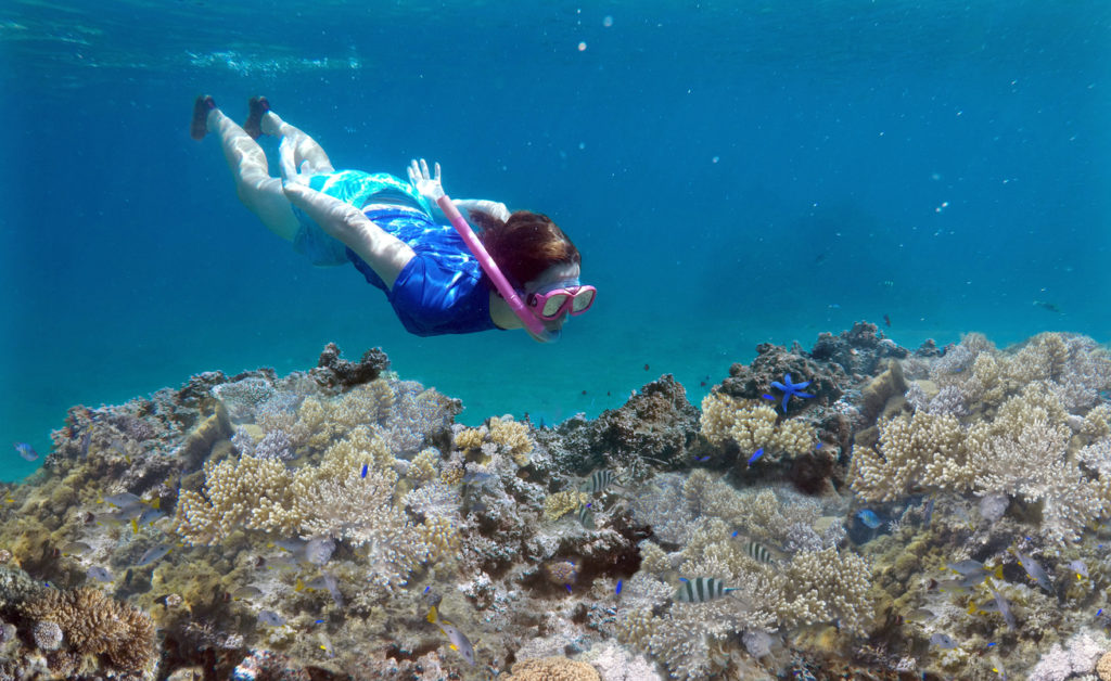 Snorkling over a coral reef off the Vanua Levu Island, Fiji.