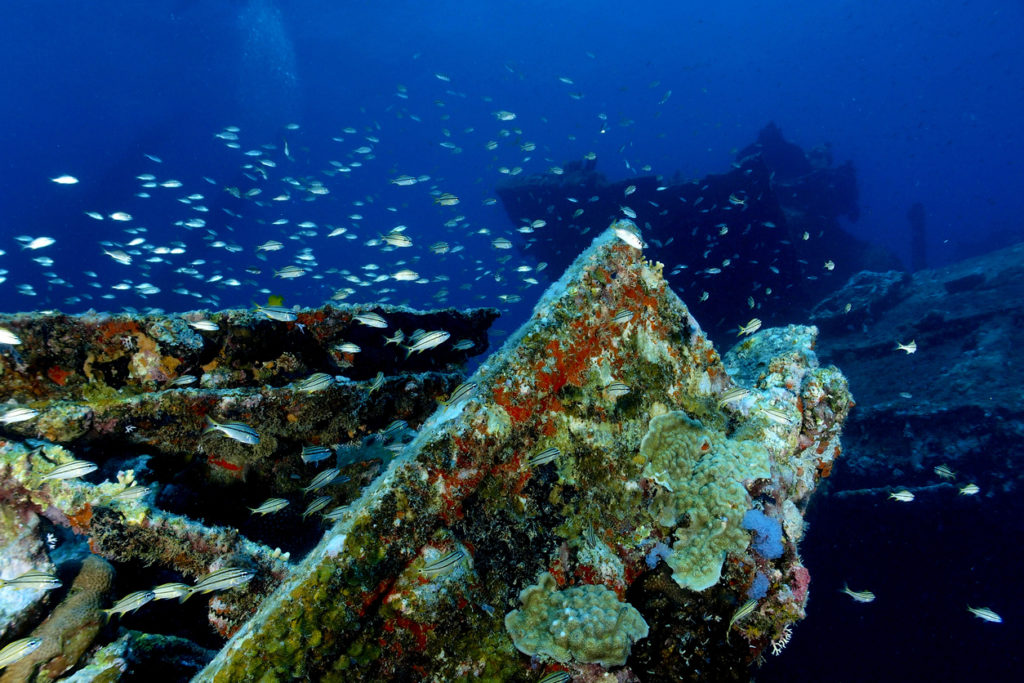 A small section of the Antilla Shipwreck in Aruba.