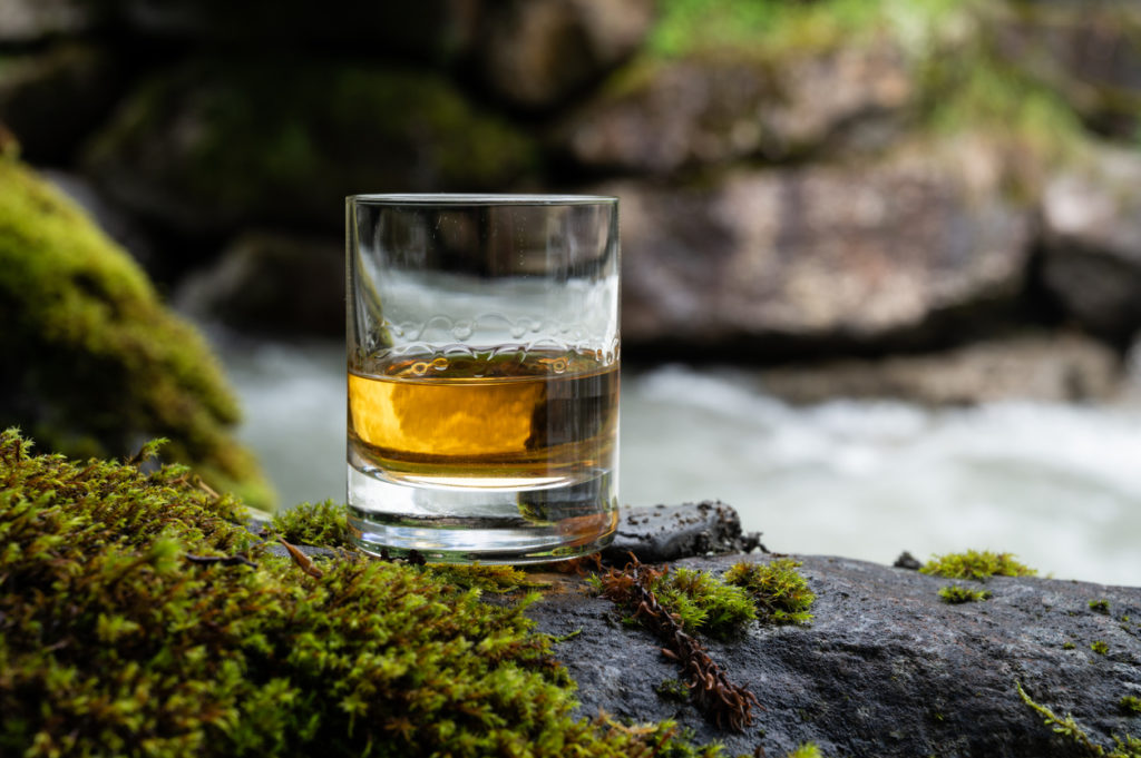 Glass of Scotch malt whisky