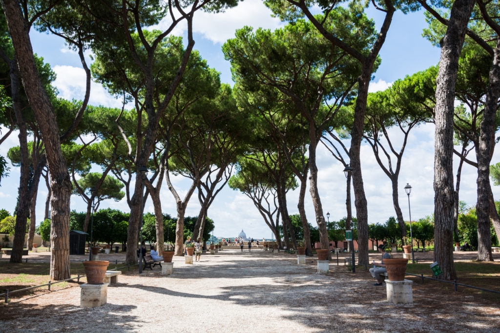 View from the gardens near Santa Sabina Church.