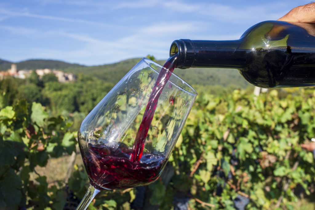 Wine in a vineyard in Sambucetole, Umbria