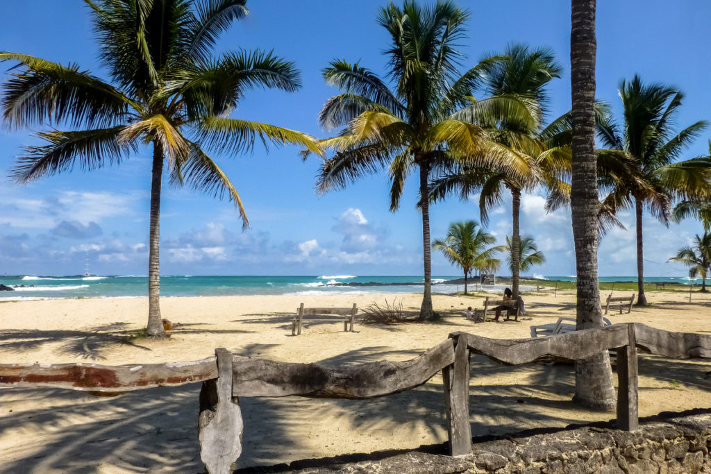 Palm-fringed beach on Isabella Island, Galapagos