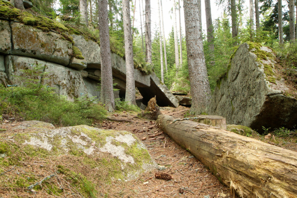 Šumava National Park