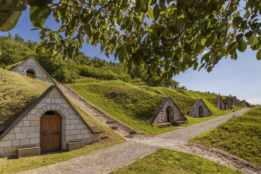 Traditional wine cellars of Tokaj