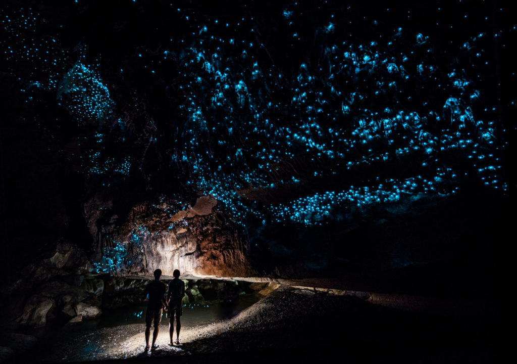 Waipu Cave, New Zealand