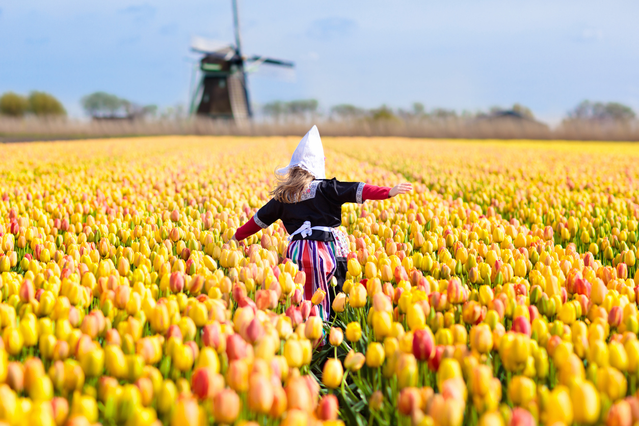 Child in a tulip field