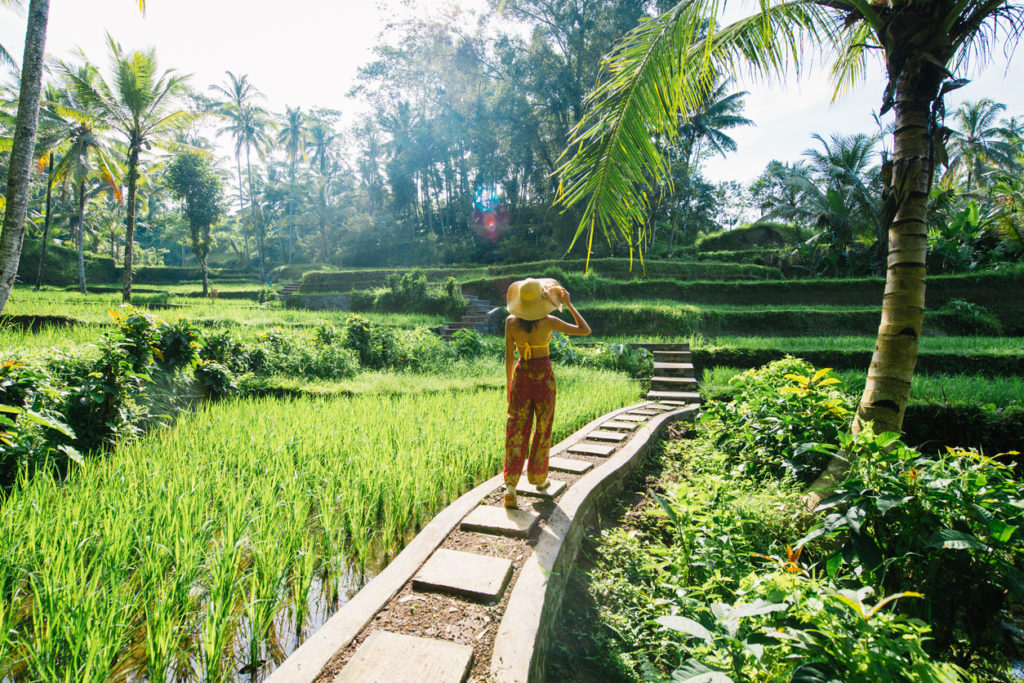 Lady at Tegalalang rice terrace in Bali