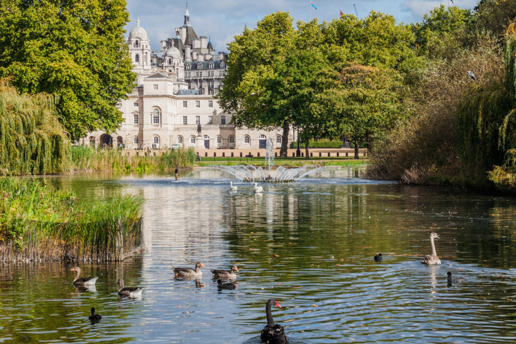 St James Park