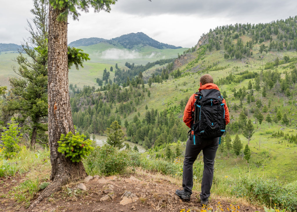 Man looking out over the wilderness of Yellowstone