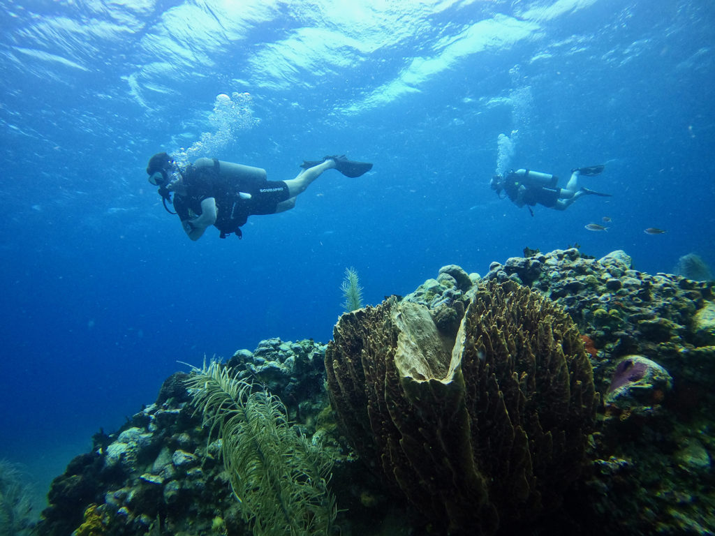 Incredible Scuba Diving Opportunities on Montserrat Island