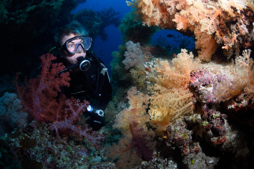A scuba diver exploring the rich and colourful coral reefs off Fiji