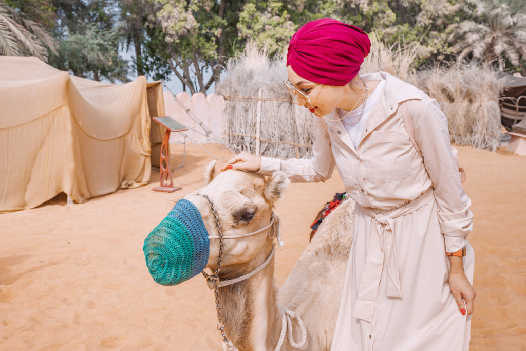 Lady with a camel as she prepares to visit the historic alleys of an Arabic heritage village