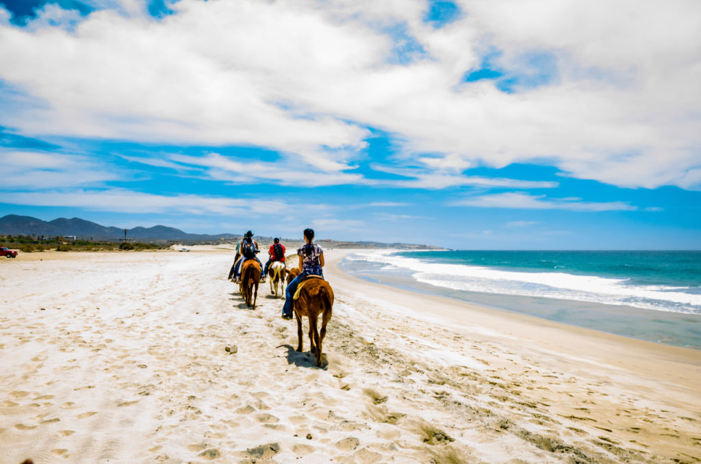 Riding on the beach in Cabo San Lucas