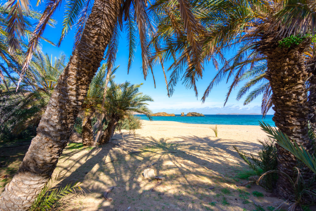 Scenic landscapes of the tropic Vai Beach, Crete